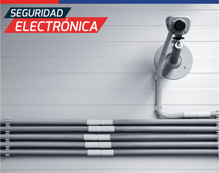 SEGURIDAD ELECTRONICA